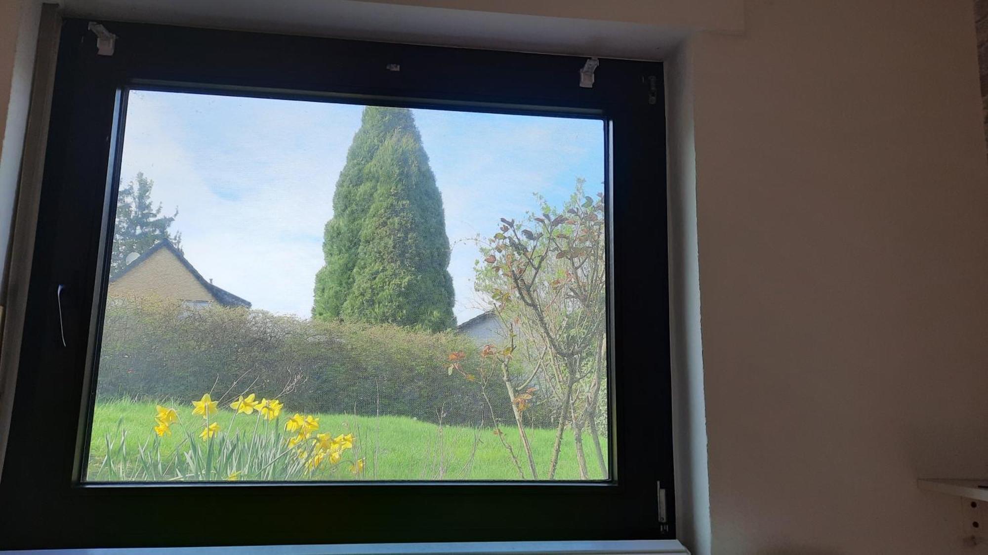 Kleine Ferienwohnung In Ruhiger Lage Herzogenrath Kültér fotó